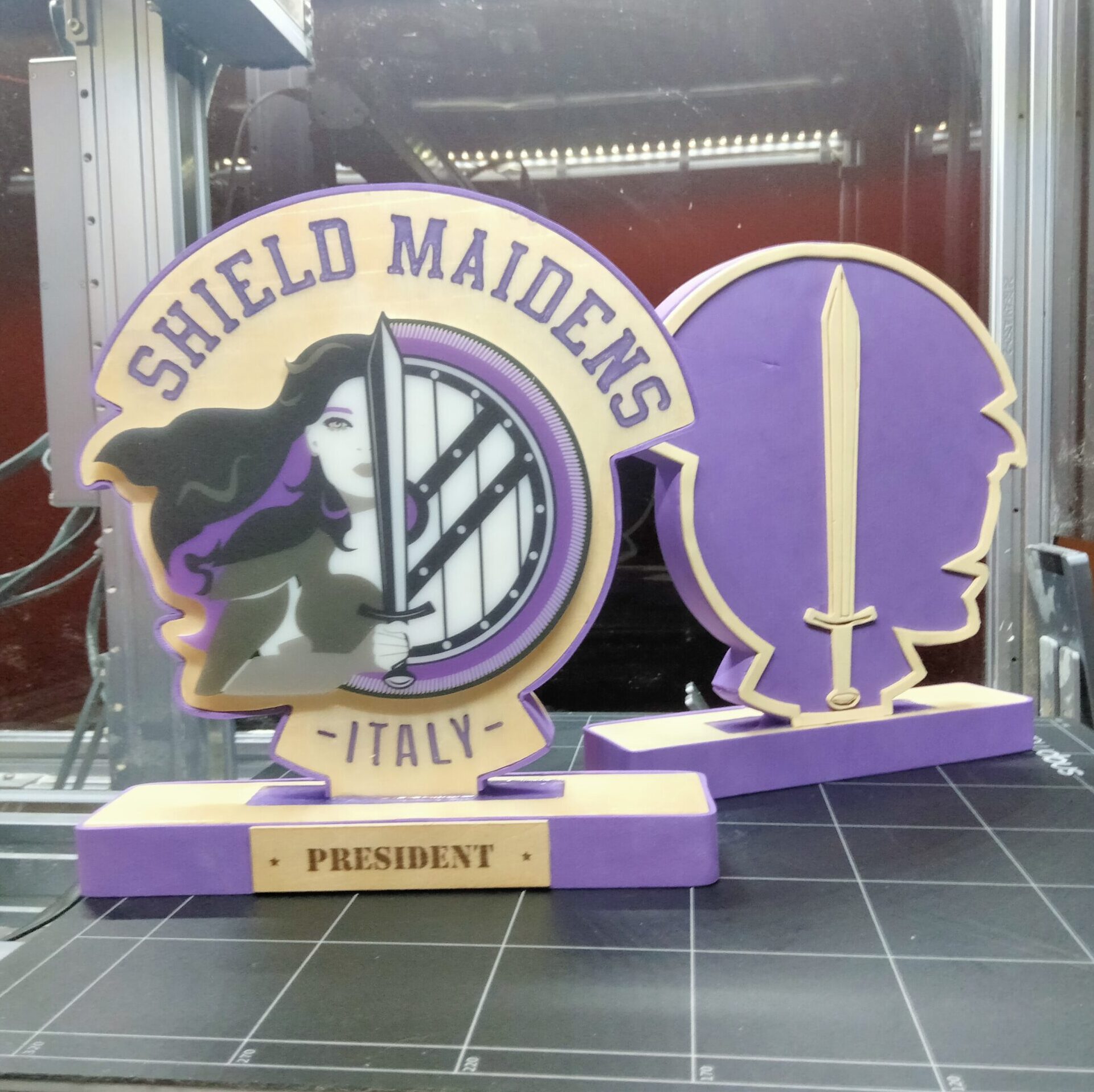 Targa Shield Maidens